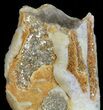 Smoky Quartz Crystal with Muscovite - Czech Republic #61781-3